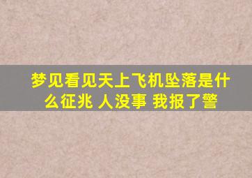 梦见看见天上飞机坠落是什么征兆 人没事 我报了警